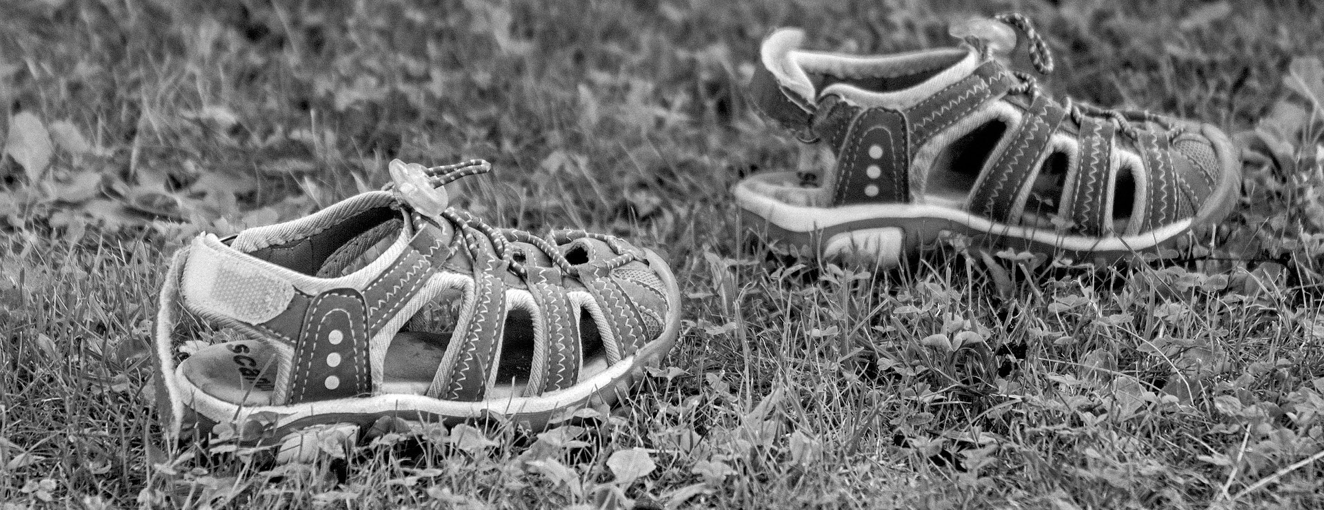 Primera página 3 Primera página -Tienda De Zapatos shoe 1193745 1920